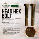 5/8" x 4" Hex Head Bolt (M16 x 100 Approx.) – Wood Chipper High Strength Fastener